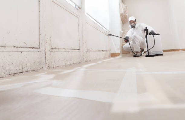 24/7 Emergency Black Mold Remediation experts in Moorestown, NJ