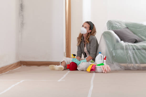 Reliable Black Mold Remediation contractor in Moorestown, NJ by 24 Hour Mold Removal
